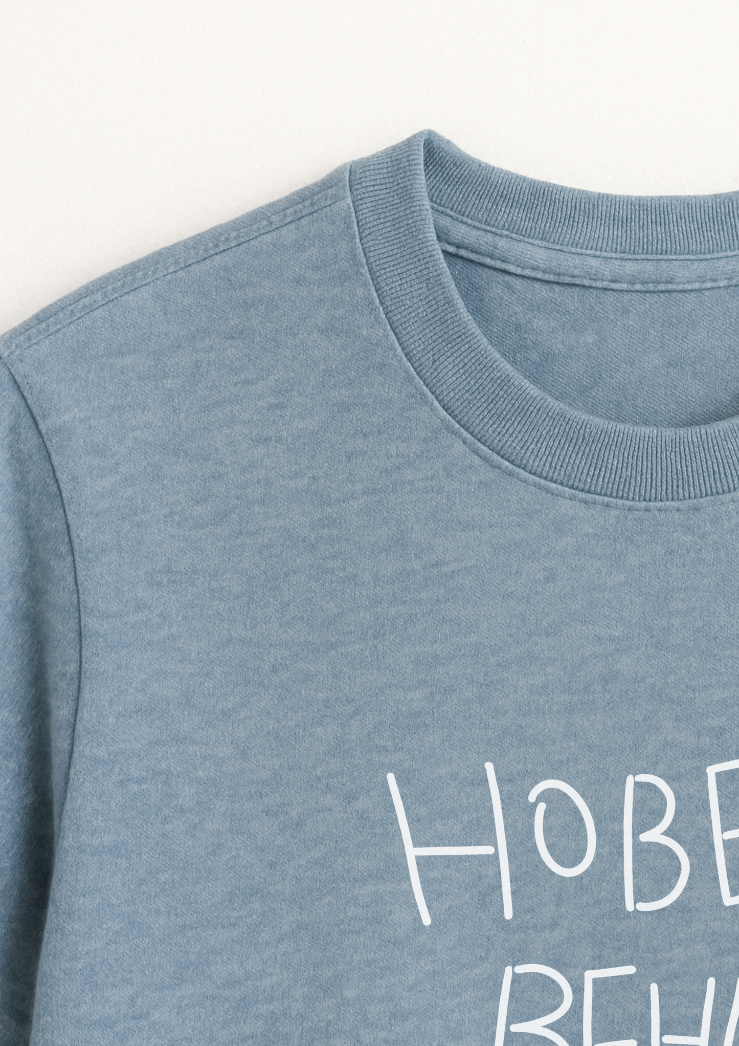 Camiseta Hobetu Beharra